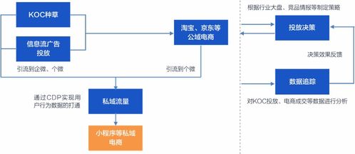 從KOC種草到私域構建 挖數科技如何以數字技術賦能品牌，孵化下一個完美日記