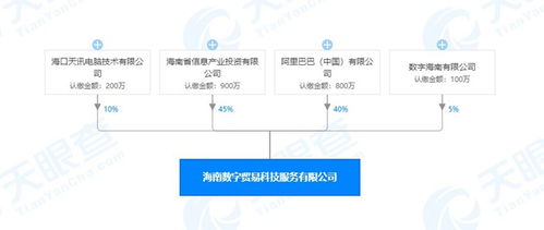 海南數字貿易科技服務公司成立，阿里巴巴持股40%引領數字技術服務新浪潮